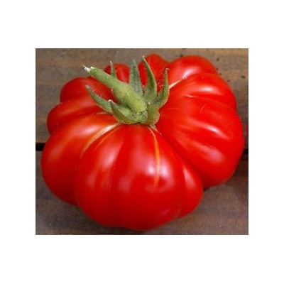 Graines Bio Tomate Rouge Costoluto Di Chivasso BIO Kokopelli