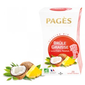 Infusion BRULE GRAISSE Coco Ananas BIO Pagès