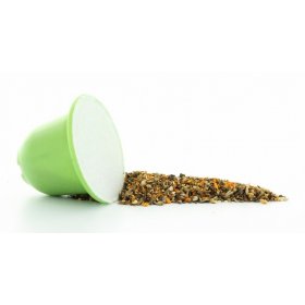 Capsules BIO x 20 Purifier son organisme Diffussence