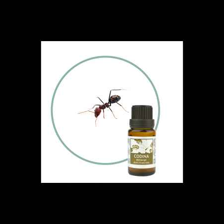 Mélange d'huiles essentielles BIO Anti Insectes CODINA