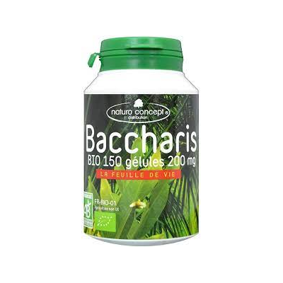 baccharis BIO plantes d...