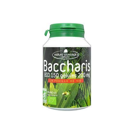 baccharis BIO plantes d...