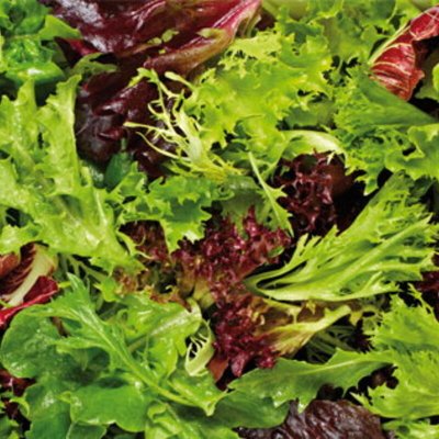 Mesclun Bio , printemps et...